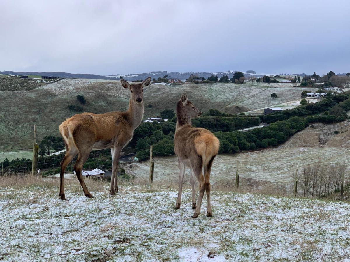 Hilltop Whakaipo Estate Таупо Экстерьер фото