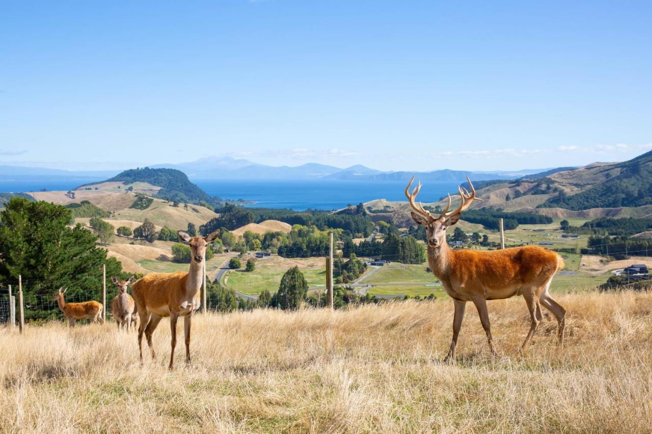 Hilltop Whakaipo Estate Таупо Экстерьер фото