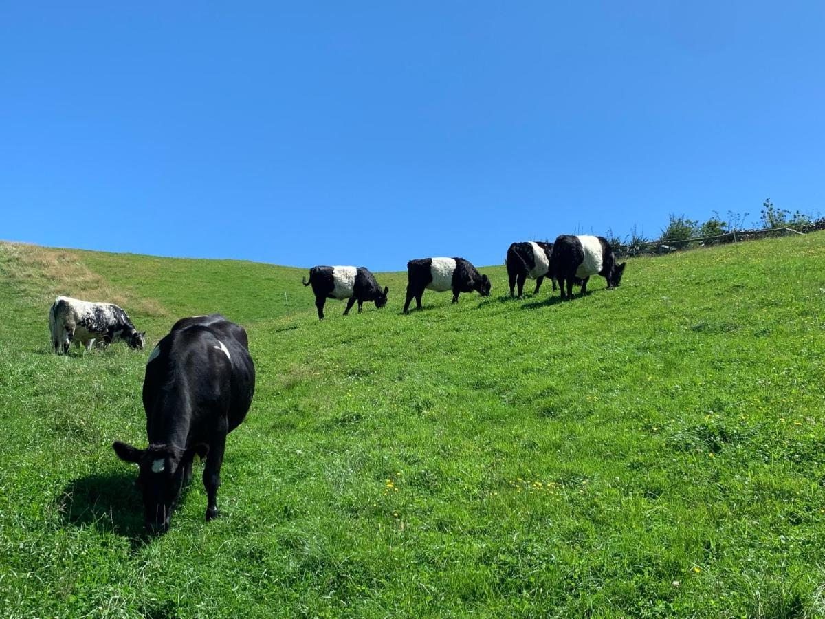 Hilltop Whakaipo Estate Таупо Экстерьер фото