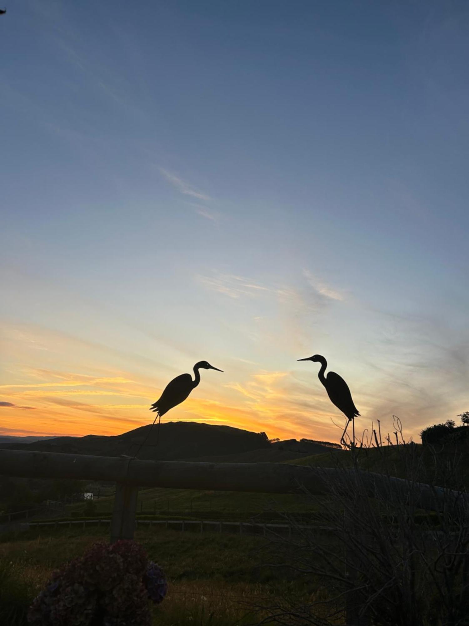 Hilltop Whakaipo Estate Таупо Экстерьер фото