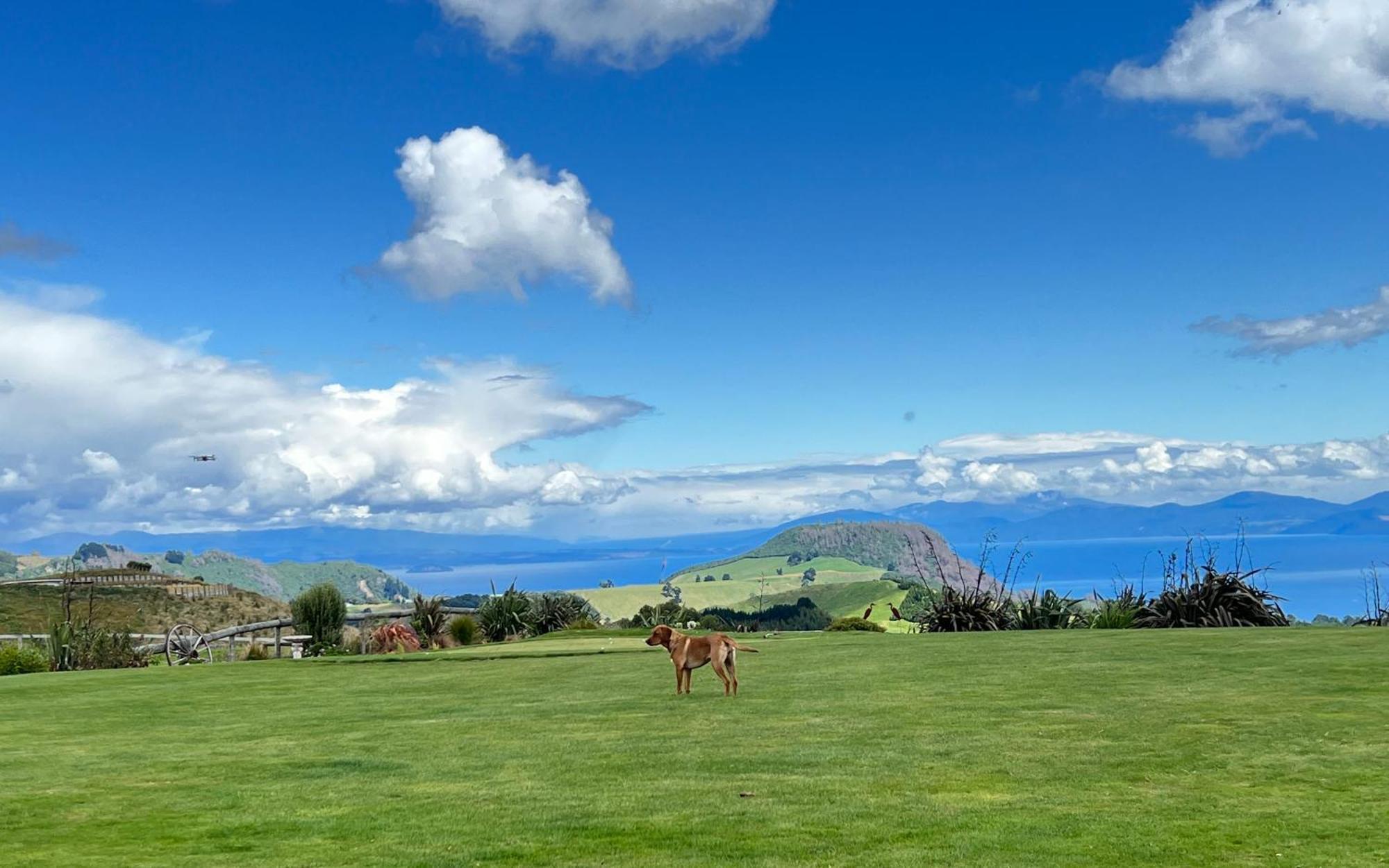 Hilltop Whakaipo Estate Таупо Экстерьер фото