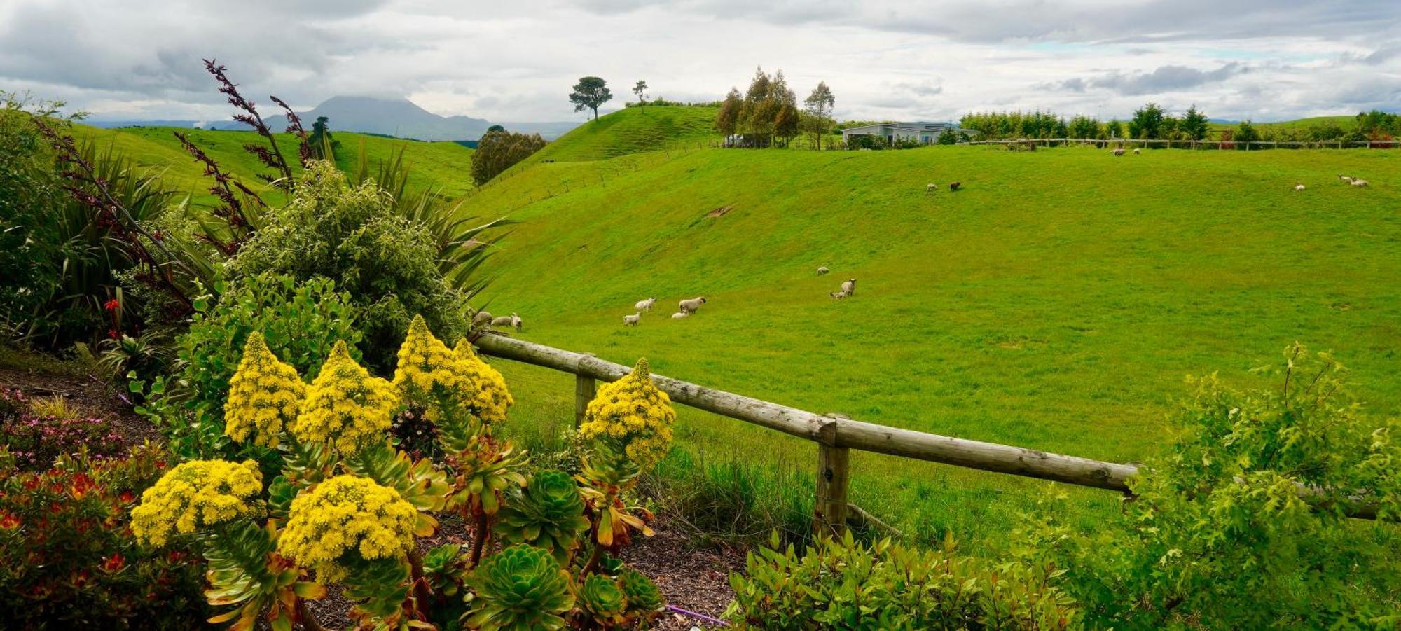 Hilltop Whakaipo Estate Таупо Экстерьер фото