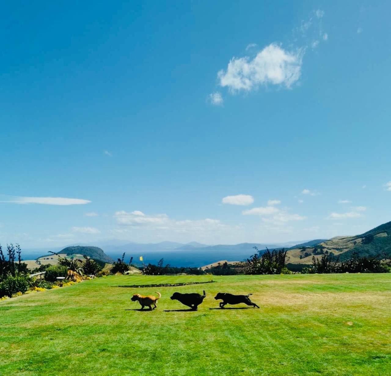 Hilltop Whakaipo Estate Таупо Экстерьер фото