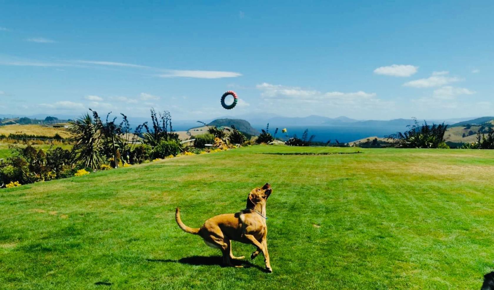 Hilltop Whakaipo Estate Таупо Экстерьер фото