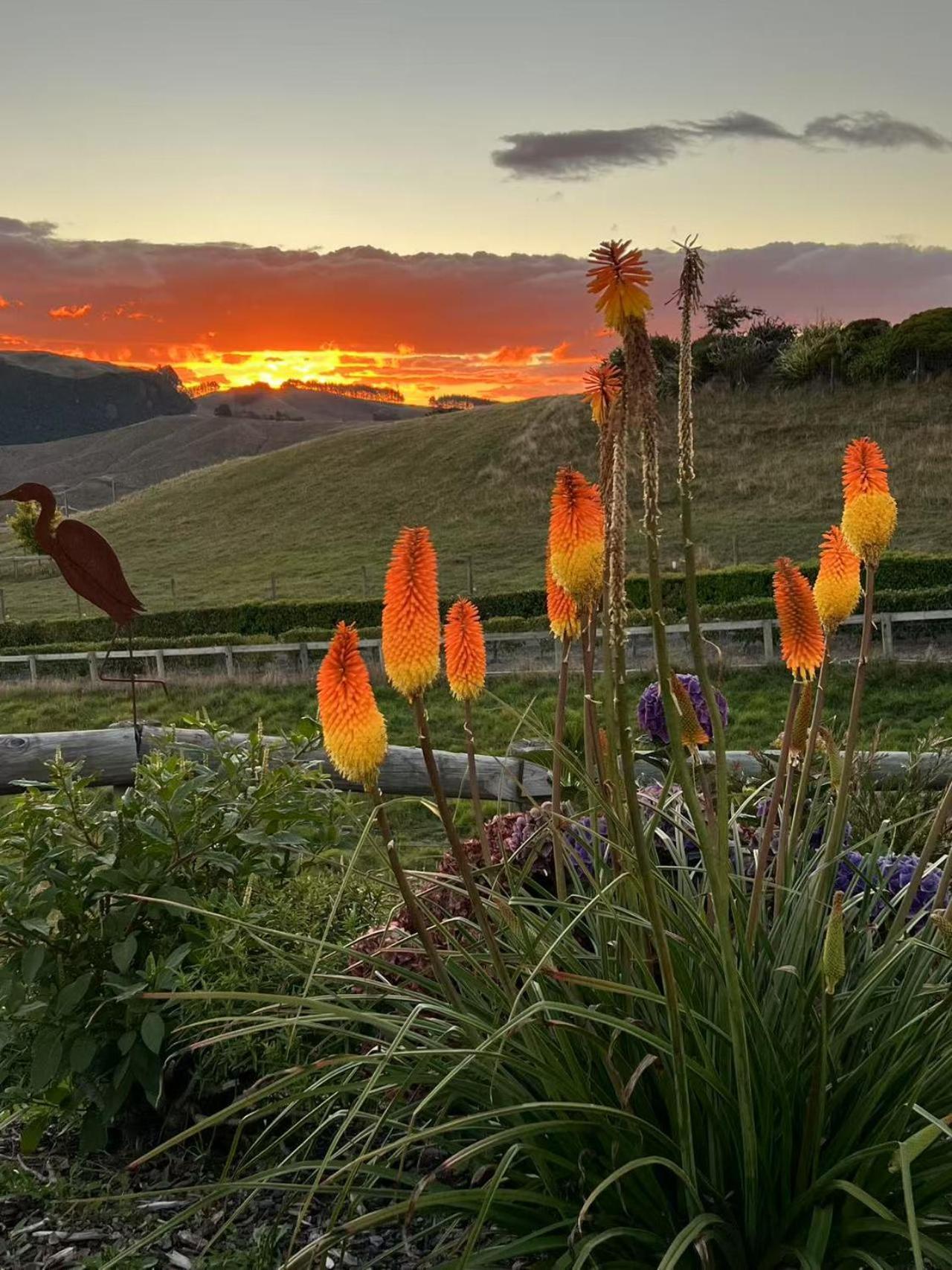 Hilltop Whakaipo Estate Таупо Экстерьер фото